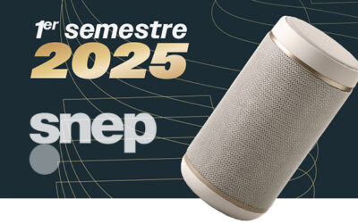 Le marché musical français en 2025 : entre stabilité et surprises