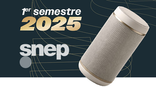 Le marché musical français en 2025 : entre stabilité et surprises
