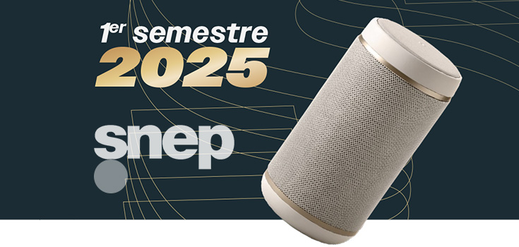 Le marché musical français en 2025 : entre stabilité et surprises