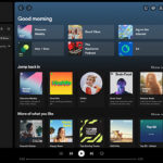 Spotify écrase les compteurs : quel avenir pour les webradios ?