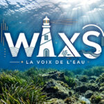 WAXS, le média audio dédié à l’eau : podcasts, récits et écologie