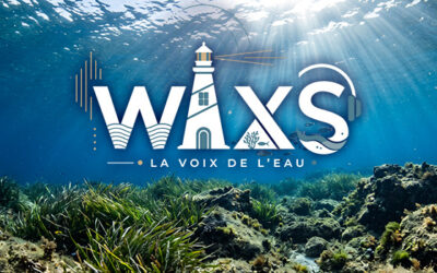 WAXS, le média audio dédié à l’eau : podcasts, récits et écologie