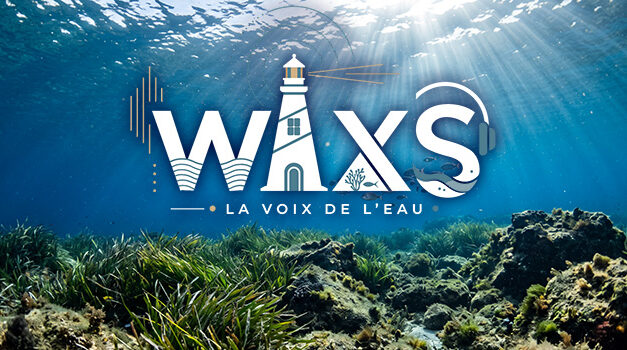 WAXS, le média audio dédié à l’eau : podcasts, récits et écologie