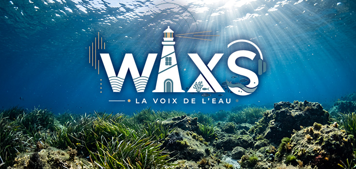 WAXS, le média audio dédié à l’eau : podcasts, récits et écologie